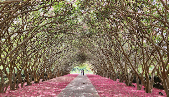 Dallas Geography: Rivers, Lakes, and the Urban Landscape